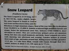 Snow Leopard info