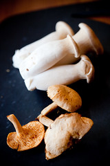 Chanterelle and Trumpet Mushrooms