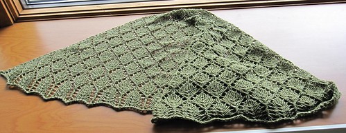 Forest Canopy Shawl