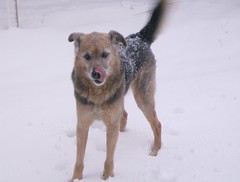 Majc enjoying the snow