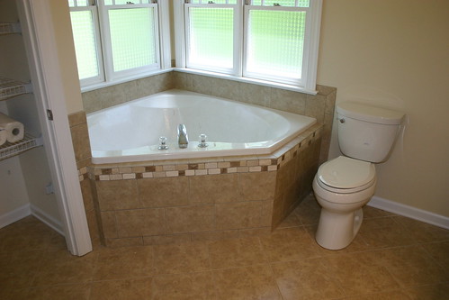 Tub and Toilet