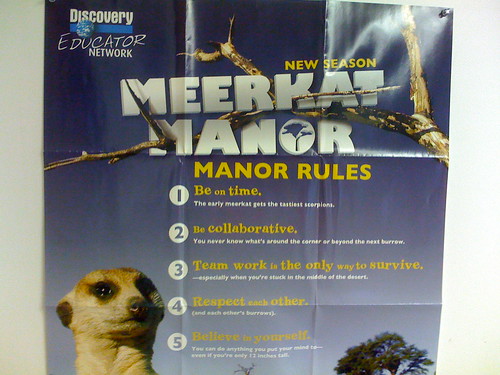 Meerkat Manor Rules
