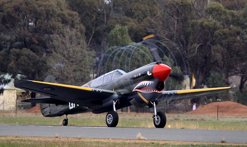 Warbird picture - P-40 Kittyhawk