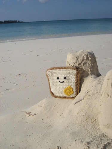 Mr. Toastee enjoys the beach in Nassau, New Providence, Bahamas.