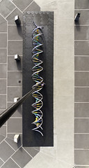 DNA sculpture at LHS