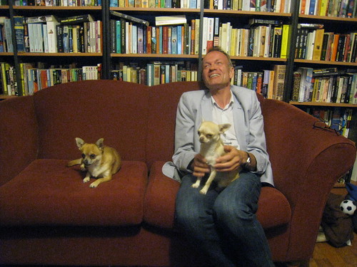 Laughing Emmo and the chihuahuas