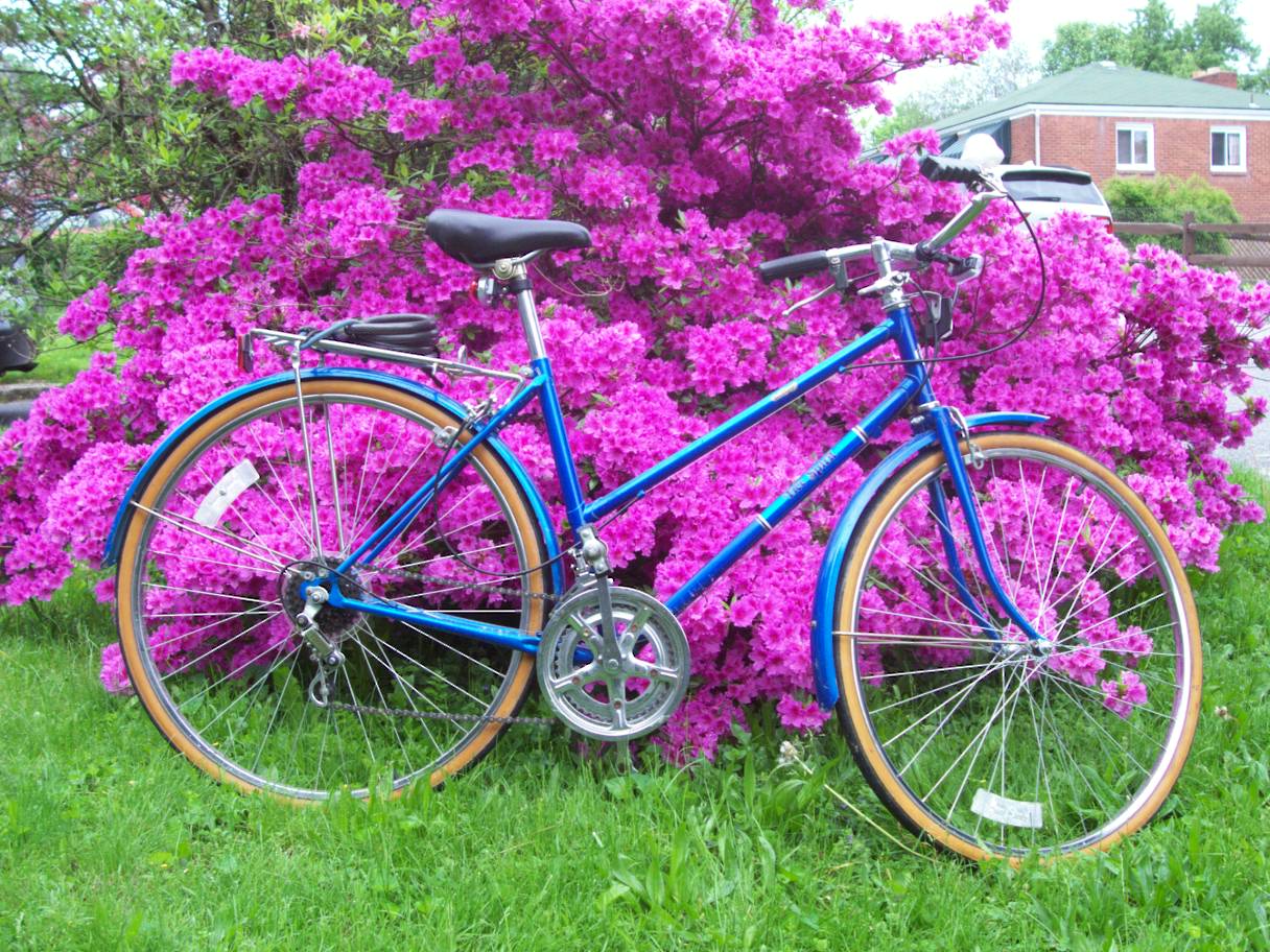 Azalea & Sarah's bike