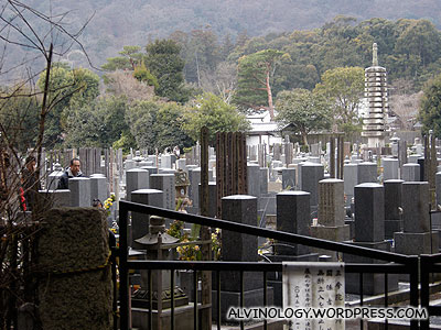 Graveyard tucked in the bamboo forest