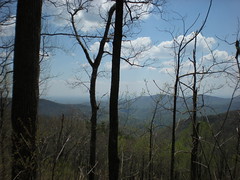  13 - View From Freeman Trail