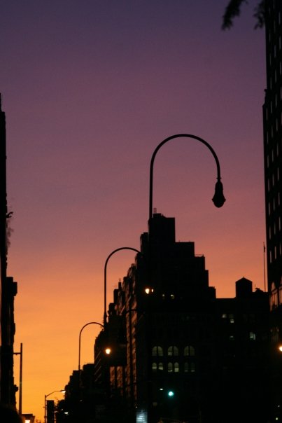 manhattan sunset by lily