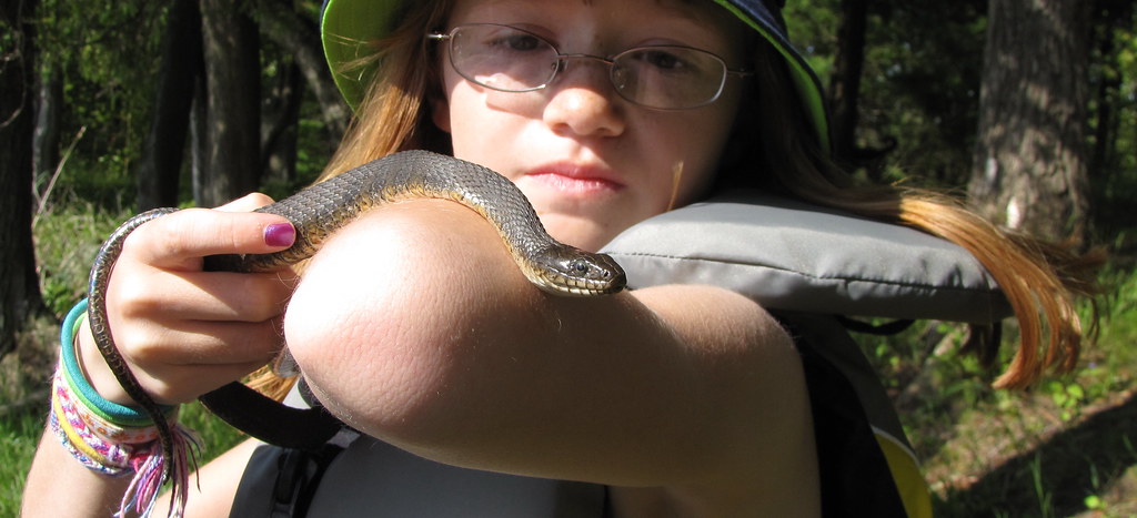 Charleston Lake water snake