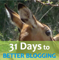 31 Days to Better Blogging