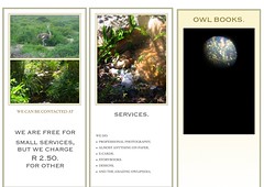 Preview of “OWL BOOKS BROCHURE.”