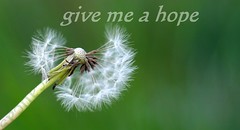 give me a hope