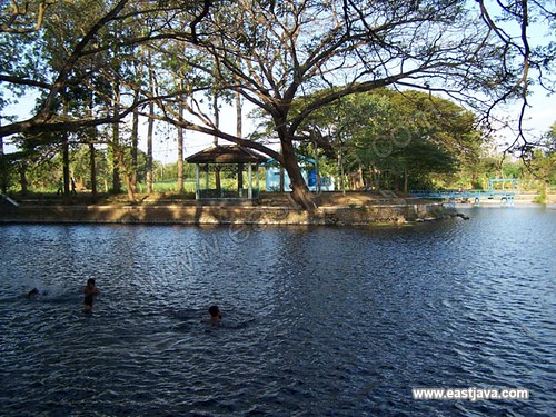 Ronggojalu Lake Probolinggo