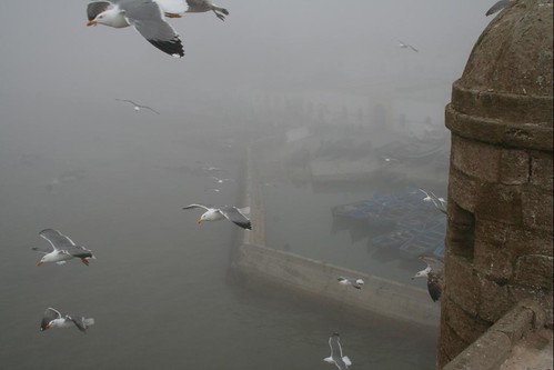 Essaouira Harbour In The Fog