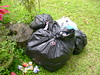 wastes we collected at the campsite..