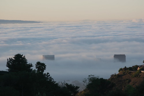 A Sea of Fog.JPG