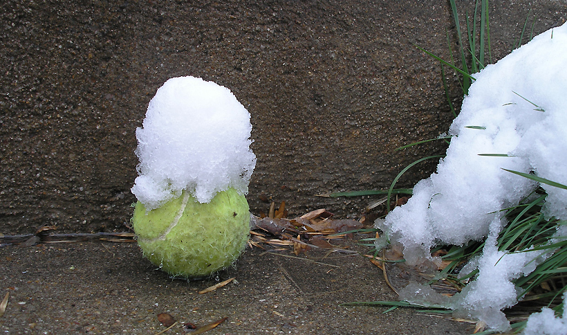 Snowy Ball