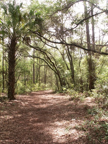Whispering Pines Park Trail