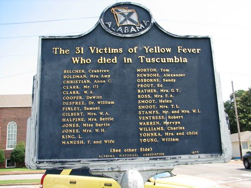 31 Victims of Yellow Fever