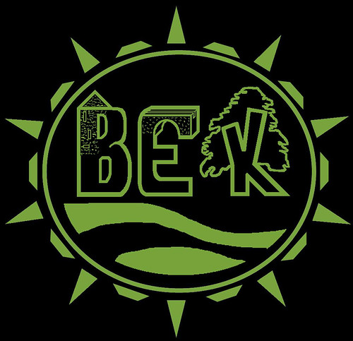 vek logo inverted green 1