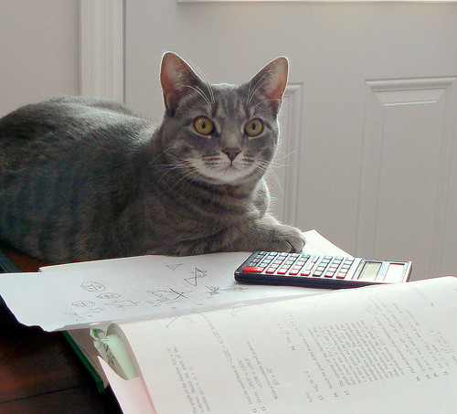 PDRater workers compensation calculators - so easy a cat can use them!