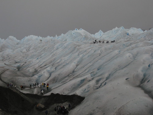 tiny ants. Glaciar Perito Moreno