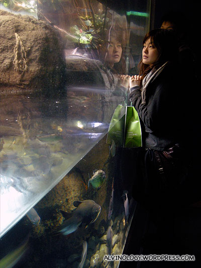 A lady observing the fish