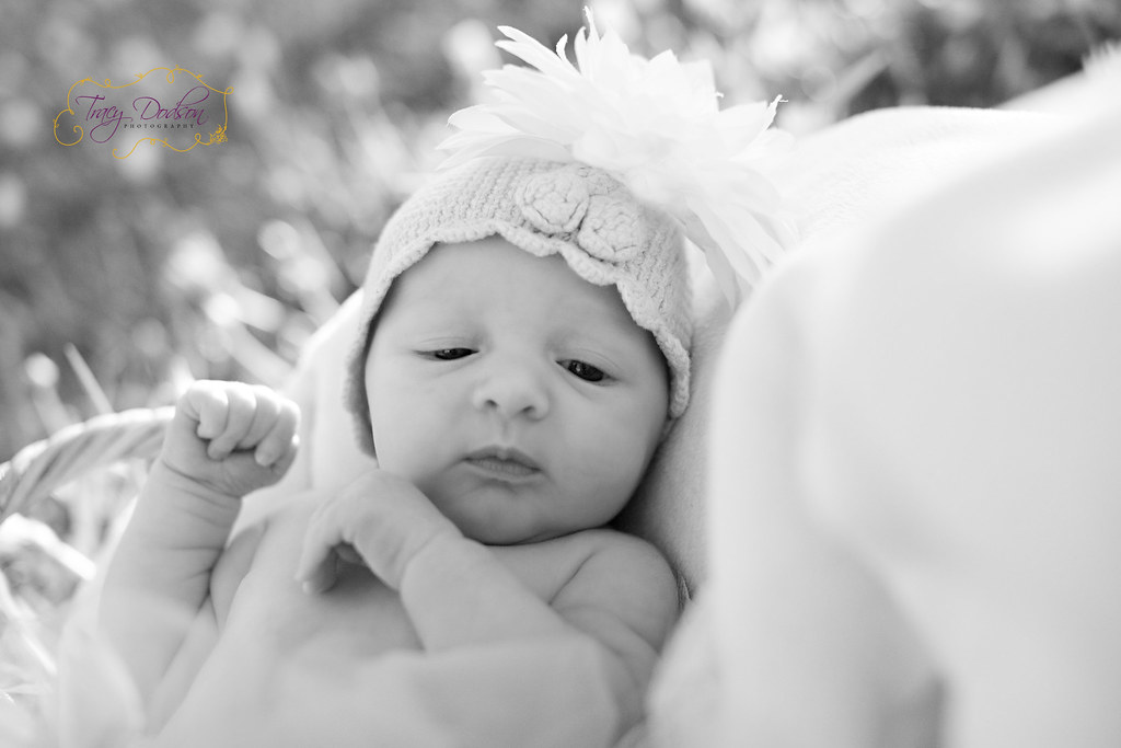 Newborns | Tracy Dodson Photography