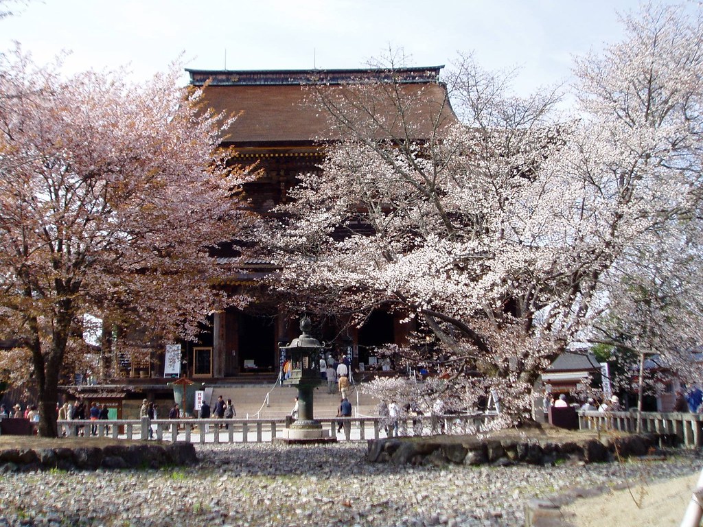 金峯山寺蔵王堂と満開の四本桜