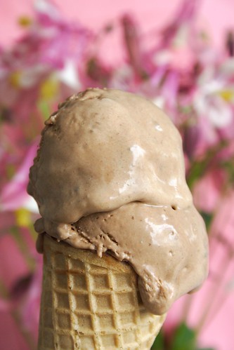 Chestnut & Chocolate Ice Cream