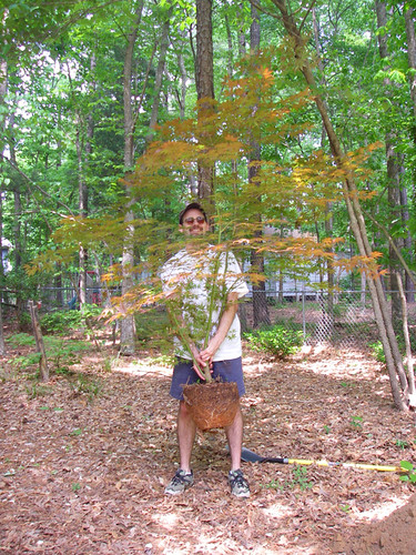 Eric illustrating the size of the Japanese maple