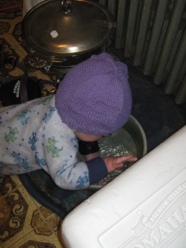 Silas swimming in the cat &amp; dog water dish