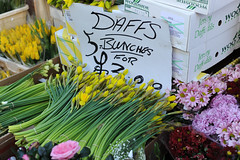 Mother's Day at Columbia Road Flower Market