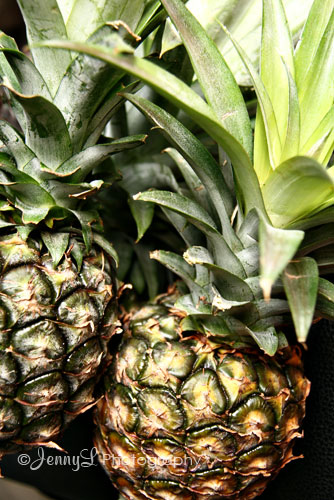 Project 365: Sweet Pineapples