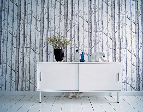 birch tree wallpaper. tree wallpaper