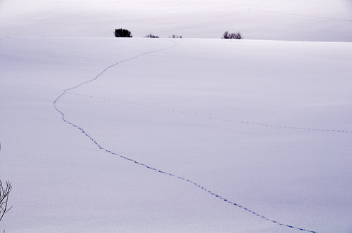 Hokkaido in winter 2009