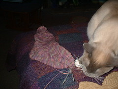 barni helping with sock knitting