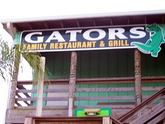 Gators sign