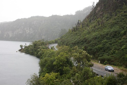 The road to Rotorua