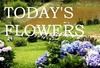 Todays-Flowers-Logo