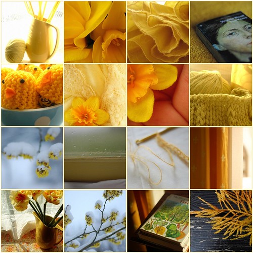 A selection of yellows from my photos