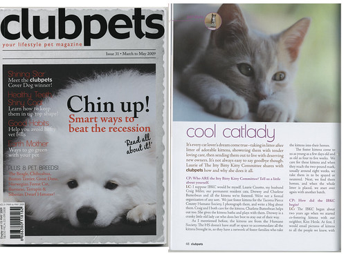 Itty Bitty Kitty Committee in clubpets Magazine
