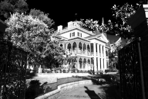 Haunted Mansion by Monique Duke