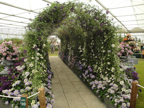 Clematis tunnel