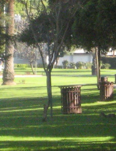 clean up pollution in parks