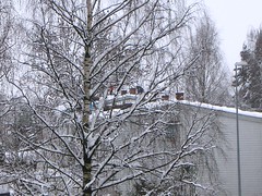 Snow on the roof in Norway #2
