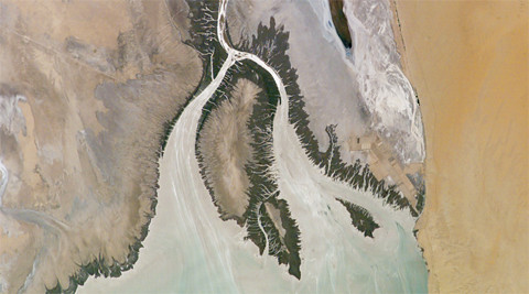 Courtesy NASA, the Colorado River Delta, with Cienega de Santa Clara in the upper right