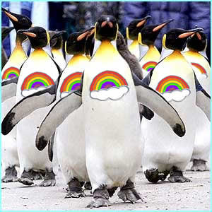 rainbowpenguins